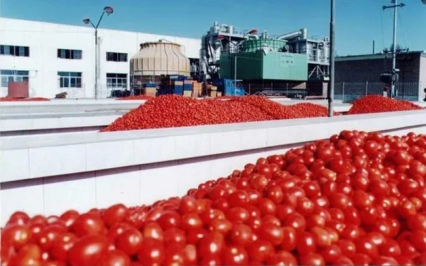 خرید رب گوجه فرنگی صنعتی با قیمت استثنایی
