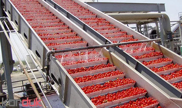 خرید رب گوجه فرنگی صنعتی با قیمت استثنایی